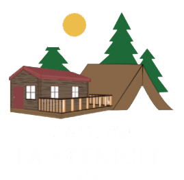 logo steniole 4 etoiles blanc