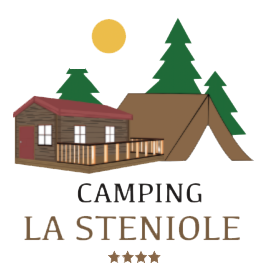 logo steniole 4 etoiles