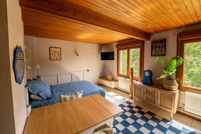 steniole homepage studio